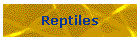 Reptiles